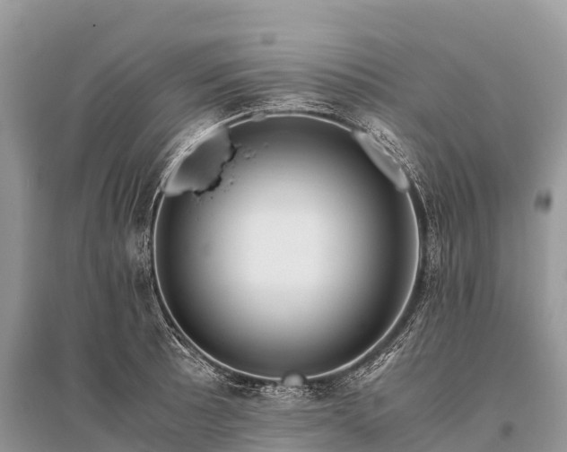 X0000096161089200801251122
