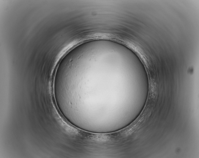 X0000096161090200801251122