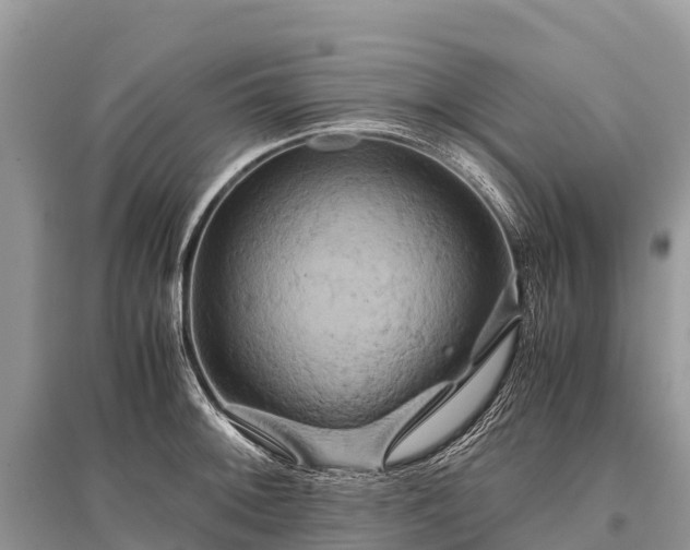 X0000096161092200801251122
