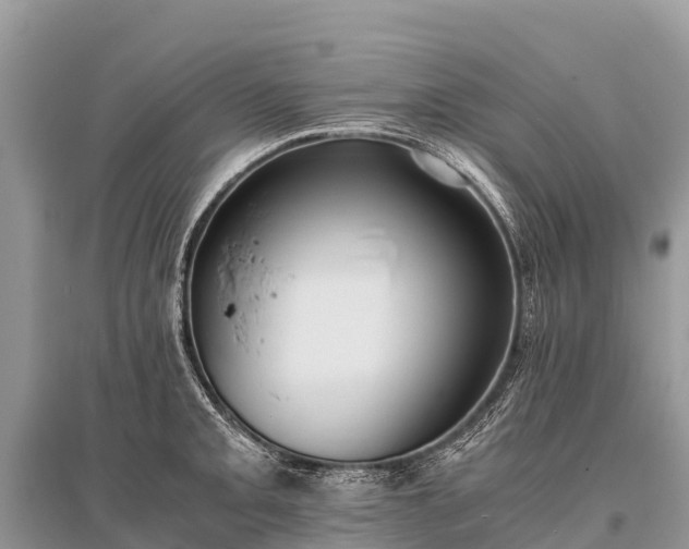 X0000096161093200801251122