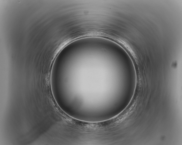 X0000096161097200801251122