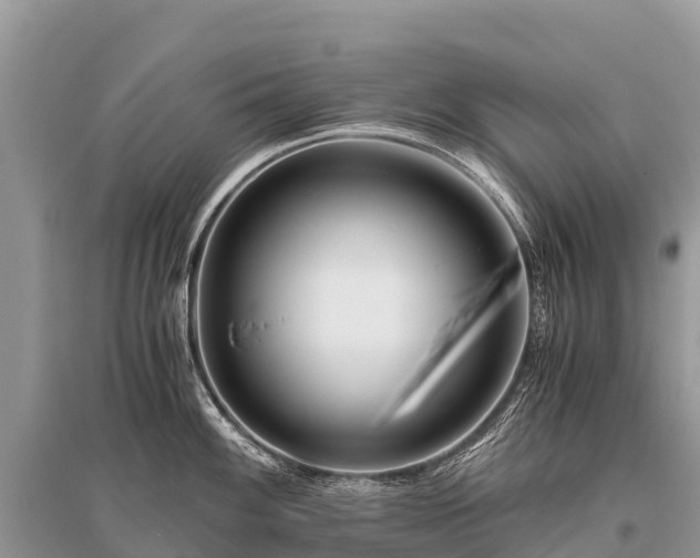X0000096161100200801251122
