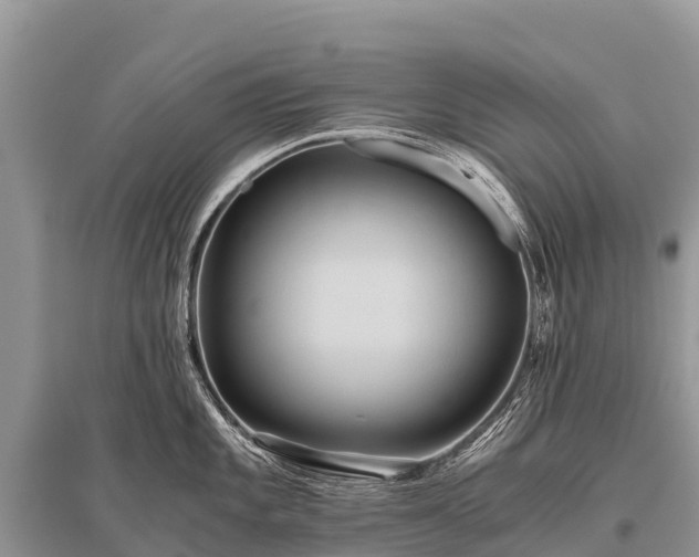 X0000096161101200801251122