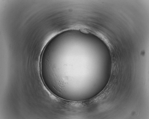 X0000096161103200801251122