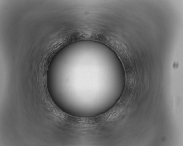 X0000096161105200801251121