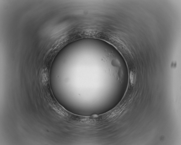 X0000096161107200801251121