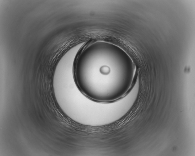 X0000096161108200801251121