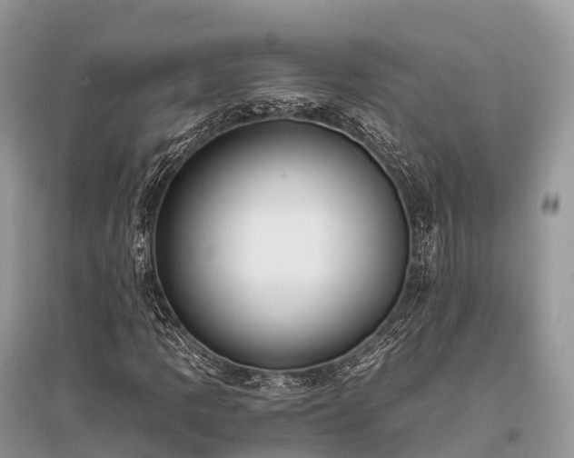 X0000096161109200801251121