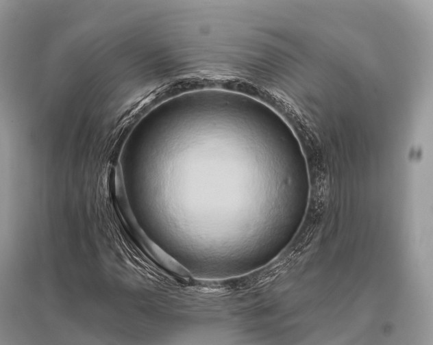 X0000096161110200801251121