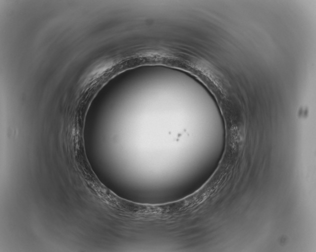 X0000096161111200801251121