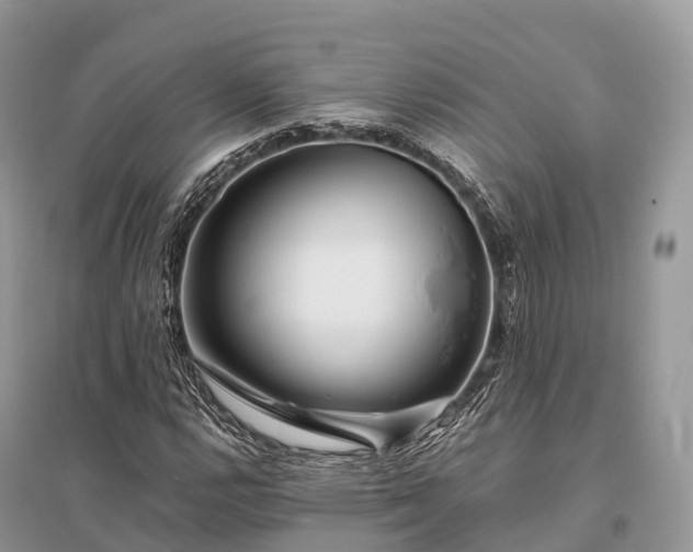 X0000096161112200801251121