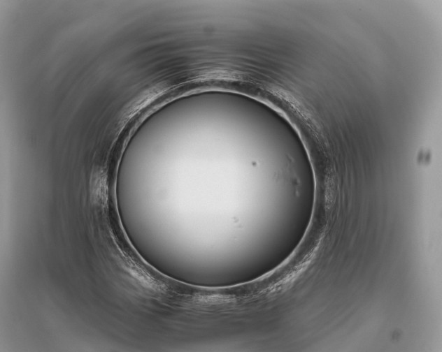 X0000096161113200801251121