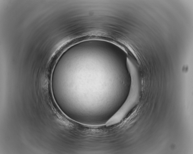 X0000096161115200801251121