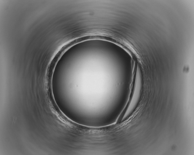 X0000096161116200801251121