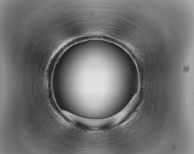 X0000096161118200801251121