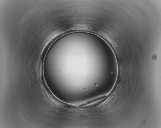 X0000096161123200801251121