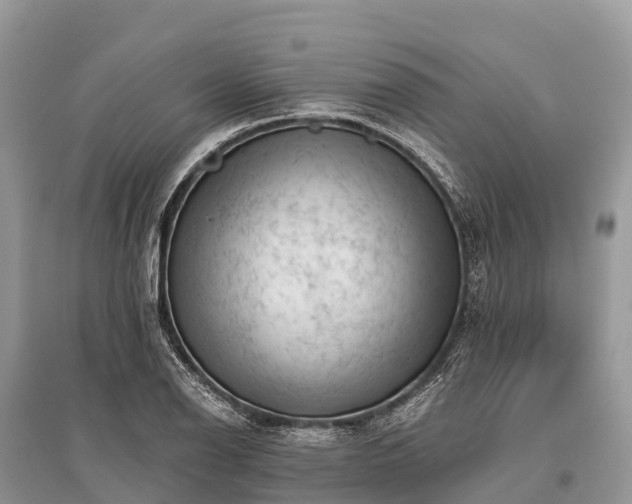 X0000096161126200801251121