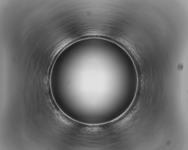 X0000096161129200801251121