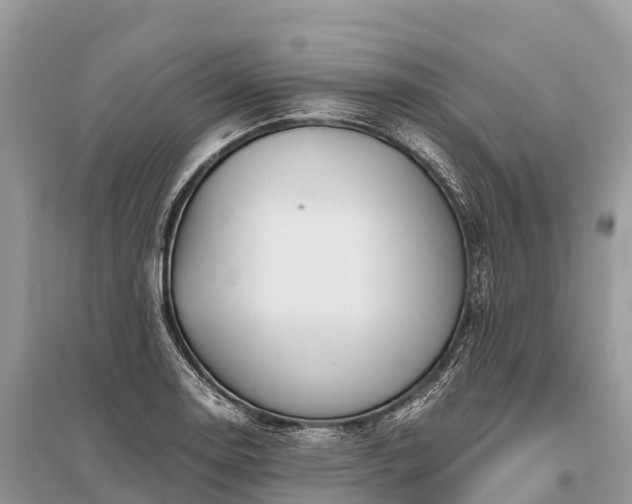 X0000096161130200801251121
