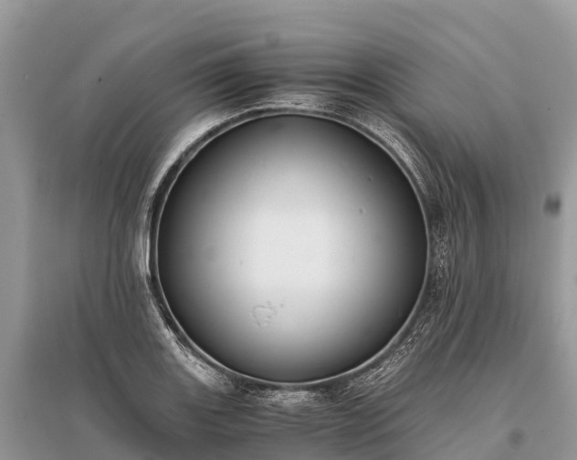 X0000096161131200801251121