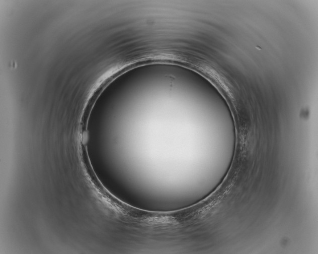 X0000096161133200801251121