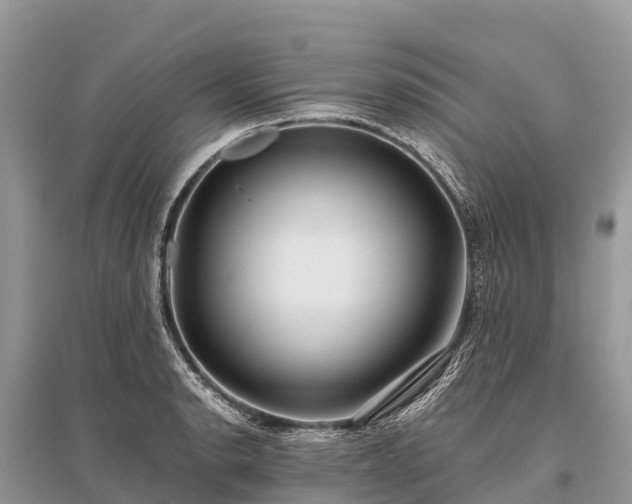X0000096161134200801251121