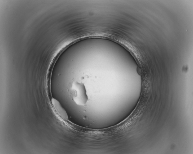 X0000096161135200801251121