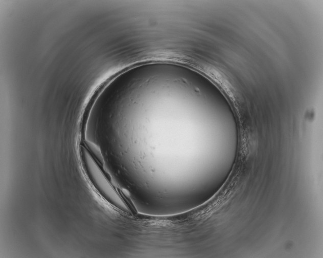X0000096161136200801251121