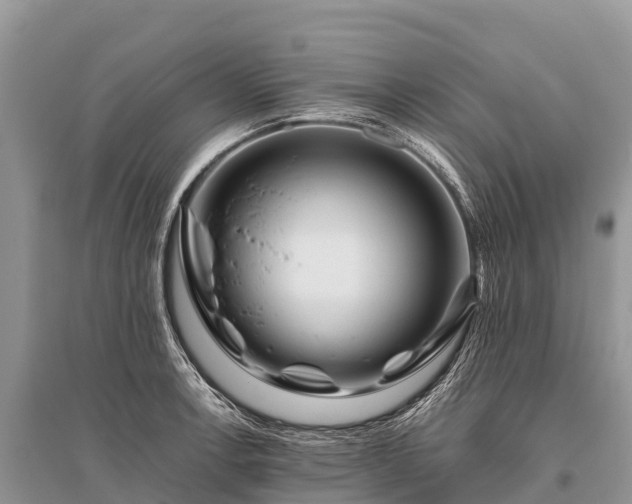 X0000096161138200801251121