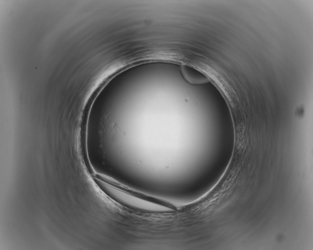 X0000096161139200801251122