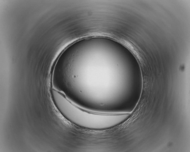 X0000096161140200801251122