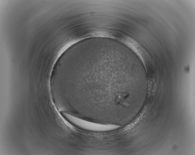 X0000096161141200801251122