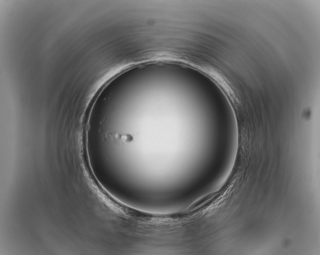 X0000096161142200801251122