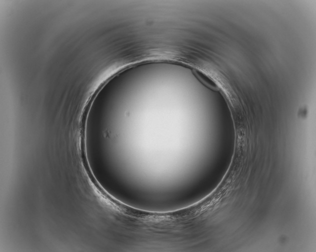 X0000096161143200801251122