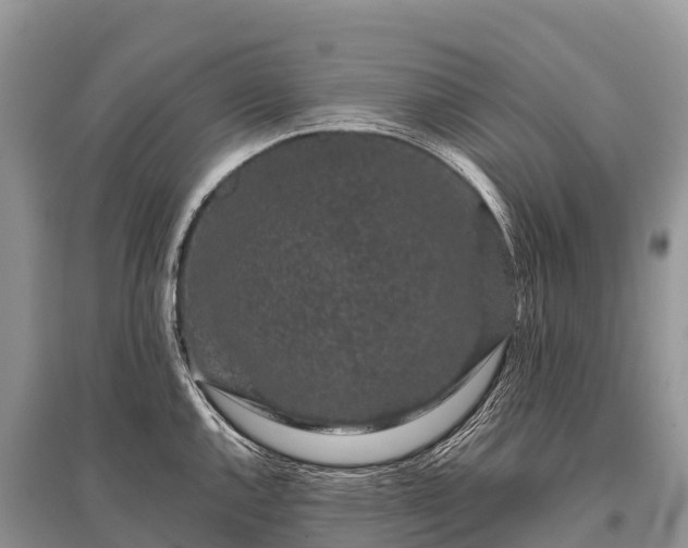 X0000096161144200801251122