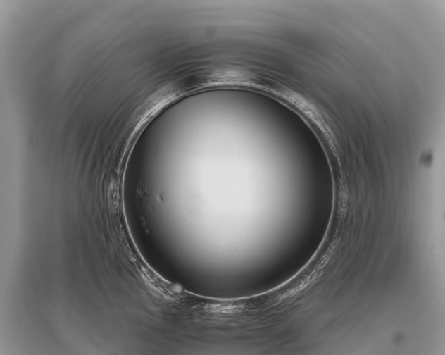 X0000096161145200801251122