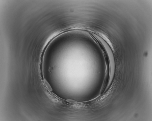 X0000096161146200801251122