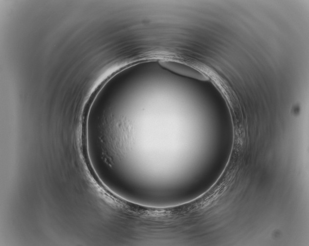 X0000096161147200801251122