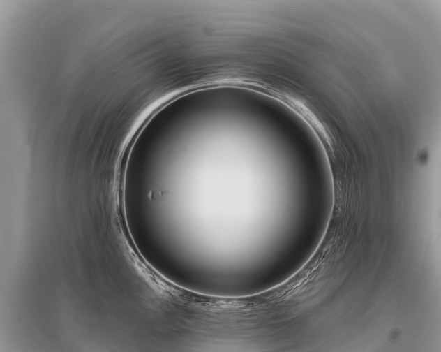 X0000096161148200801251122
