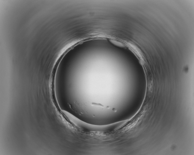 X0000096161149200801251122