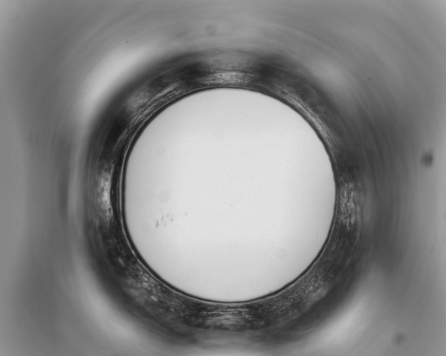 X0000096161150200801251122
