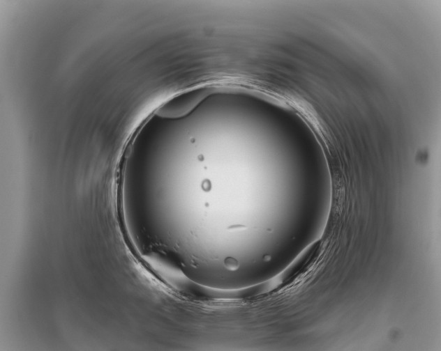 X0000096161151200801251122