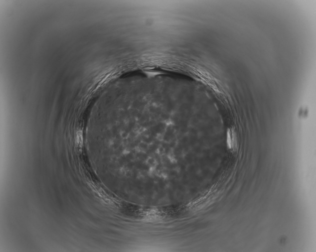 X0000096161155200801251121