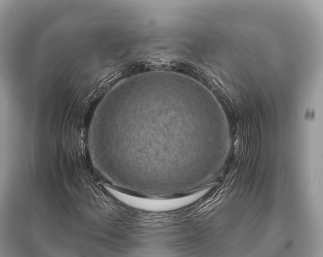 X0000096161156200801251121