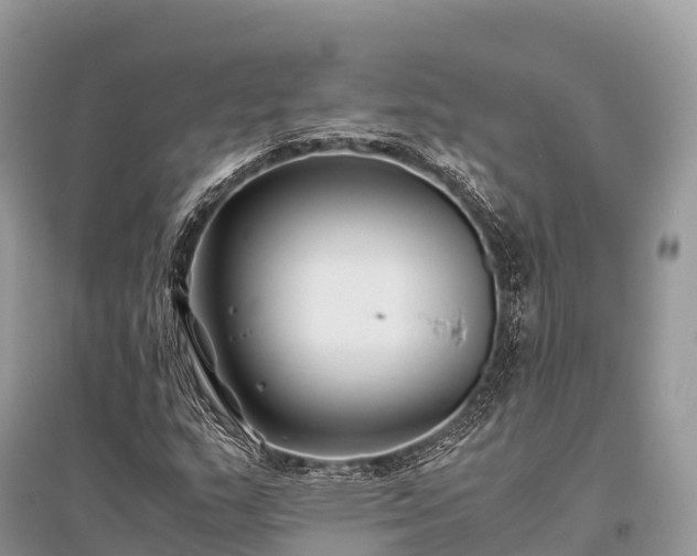 X0000096161159200801251121