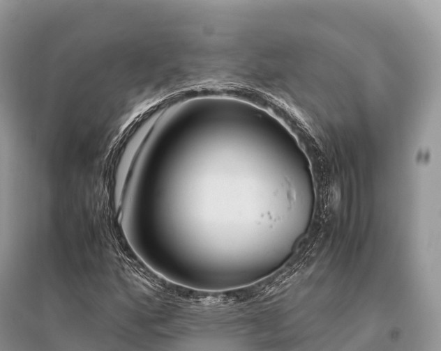 X0000096161160200801251121