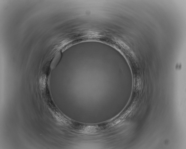 X0000096161161200801251121