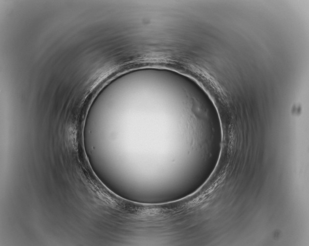X0000096161162200801251121