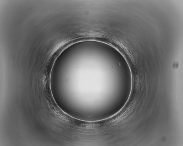 X0000096161163200801251121