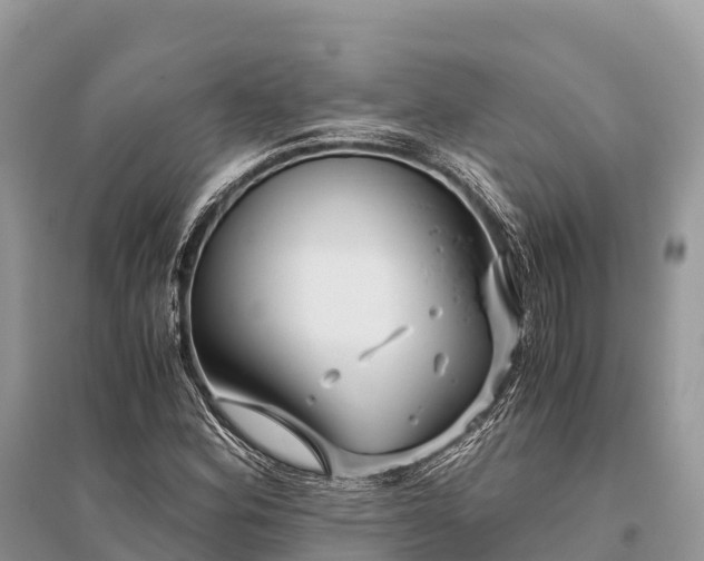 X0000096161164200801251121